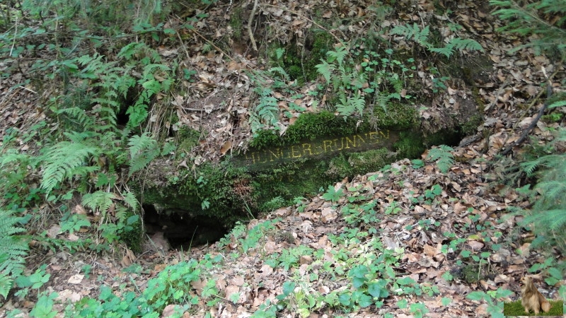 Ritterstein Nr. 165-2 Hungerbrunnen.JPG - Ritterstein Nr.165 Hungerbrunnen